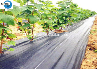 China Black Weed Barrier Woven Ground Cover Weed Control Mat Landscaping Fabric supplier
